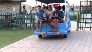 Boys Are Travelling In Eco Park With Electric Car