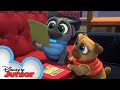 Finding Bob's Valentine ❤️ | Puppy Dog Pals | Disney Junior