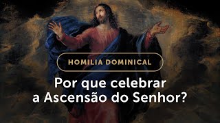 Homilia | Por que celebrar a Ascensão do Senhor? (Solenidade da Ascensão do Senhor)