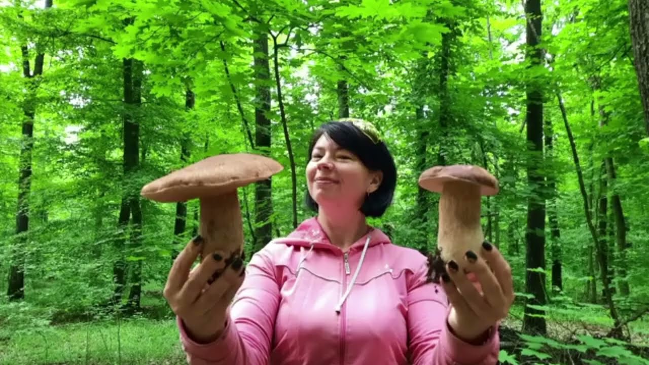 Трофейні білі гриби!