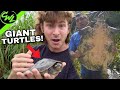 THE AMAZON’S BIGGEST TURTLE!!!