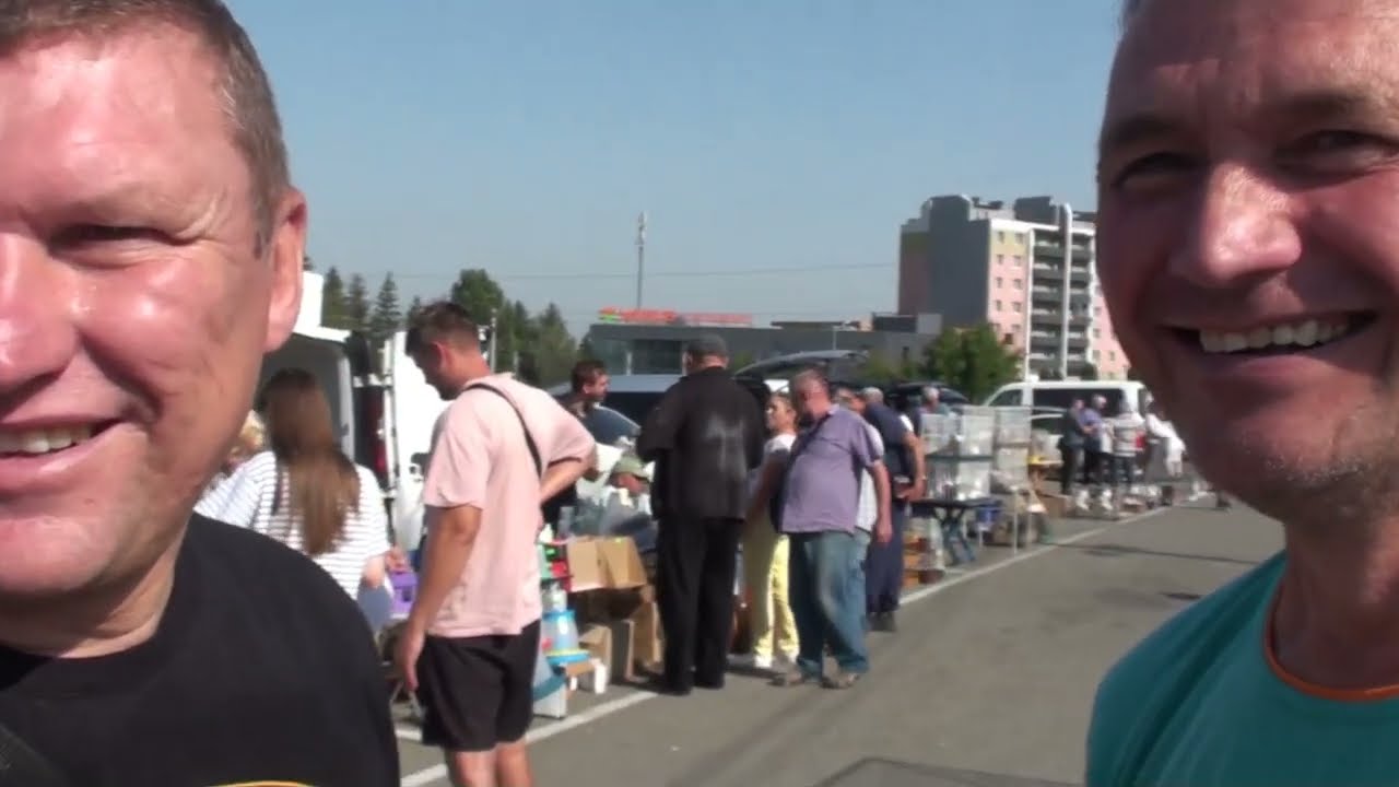 Ярмарок.Є хороші голуби