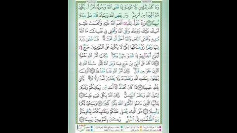 سورة الأحزاب الآية 36 تلاوة الشيخ أيمن سويد #قليل_دائم_خير​​