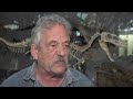 Black Hills Institute of Geological Research celebrates 50 years