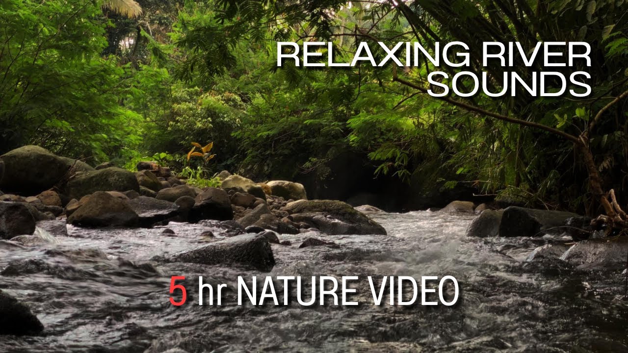 Relaxing River Sounds - Peaceful Forest River - 5 Hours Long - HD 1080p - Nature Video