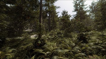 Forest Environment Demo | Unity 6 HDRP