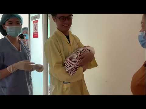 Nhím Xù TV | sinh-nhật-Bún-1-tuổi Nhím Xù TV | sinh-nhật-Bún-1-tuổi