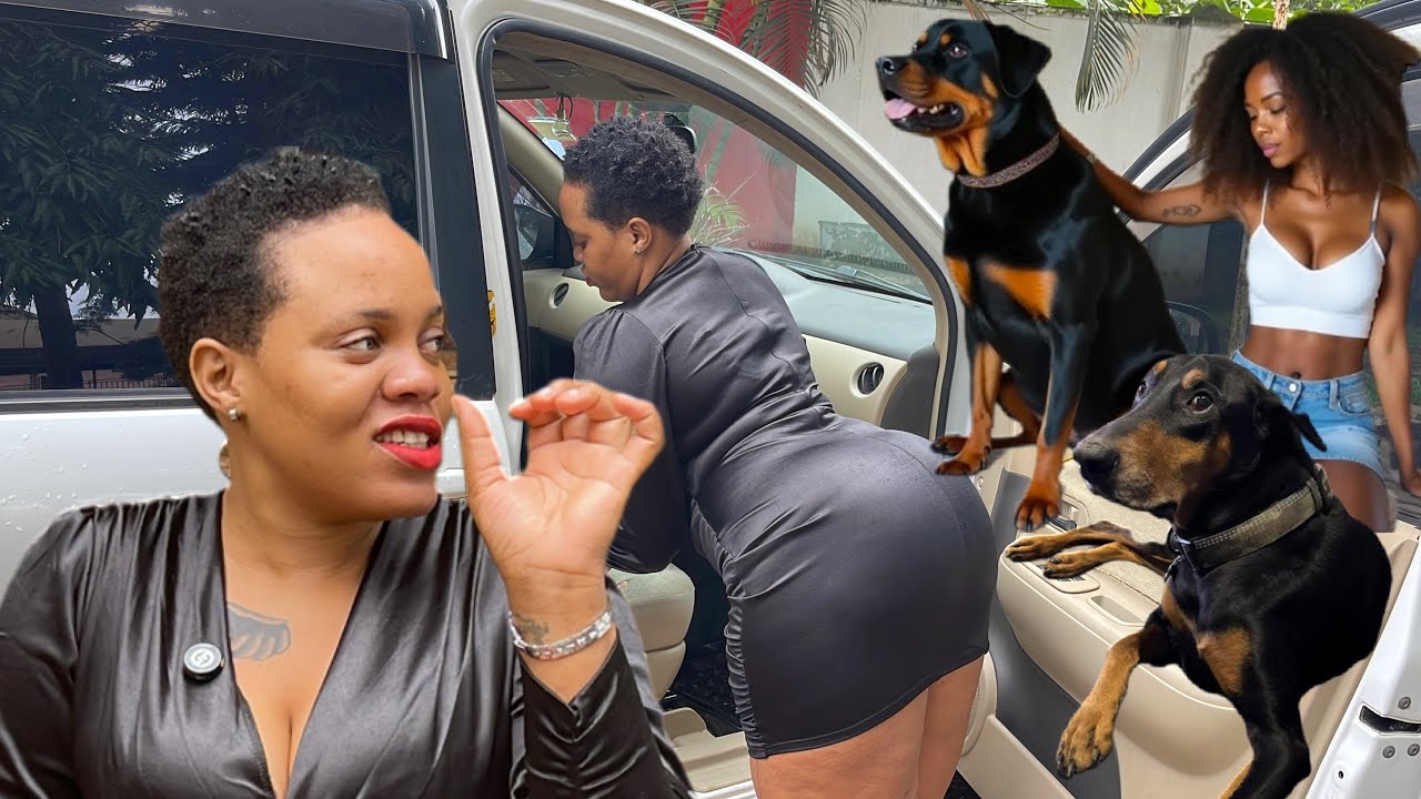 Malaya Akigudeko”Embwa Yo Mugaga Emukozesezza Ne Mugyayo Ne Byenda”Anonya Buyambi