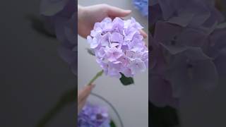 樹脂粘土で作る紫陽花の花 DIY Clay Hydrangea #shorts