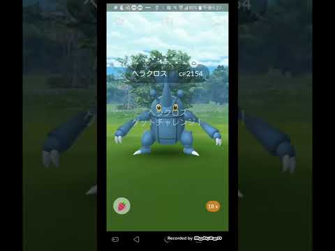 地域限定 ヘラクロスを初ゲット ポケモンgo Shorts Youtube 地域限定 ヘラクロスを初ゲット ポケモンgo Shorts Youtube