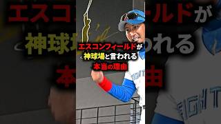 エスコンフィールドが神球場と言われる本当の理由 #野球