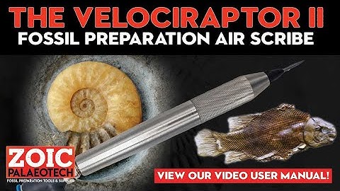 How to use and maintain the Velociraptor II Fossil Preparation Air Scribe