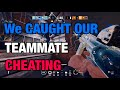 We CAUGHT Our Teammate CHEATING - Rainbow Six Siege