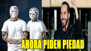 Perdieron todo su poder en 24 horas: La estrategia del presidente Bukele que lo cambio todo. Cap 462