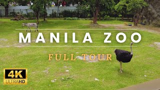 Manila Zoo | Malate, Metro Manila | 2023 Walking Tour [4k]