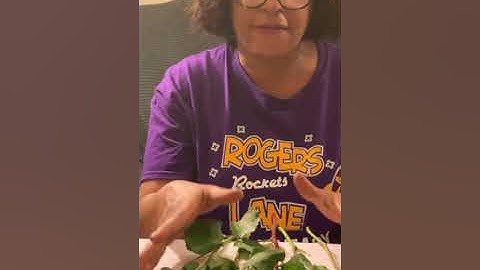 Cardinality principle