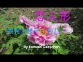 1972 恋人形 Koi Ningyo 牧村三枝子 Mieko Makimura カバー, Covered by Kazuaki Gabychan恋人形