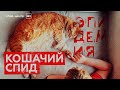 «Кошачий СПИД» / ЭПИДЕМИЯ с Антоном Красовским. Часть 7.  18+