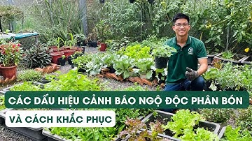 Tập 94 CÁC DẤU HIỆU CẢNH BÁO NGỘ ĐỘC PHÂN BÓN VÀ CÁCH KHẮC PHỤC