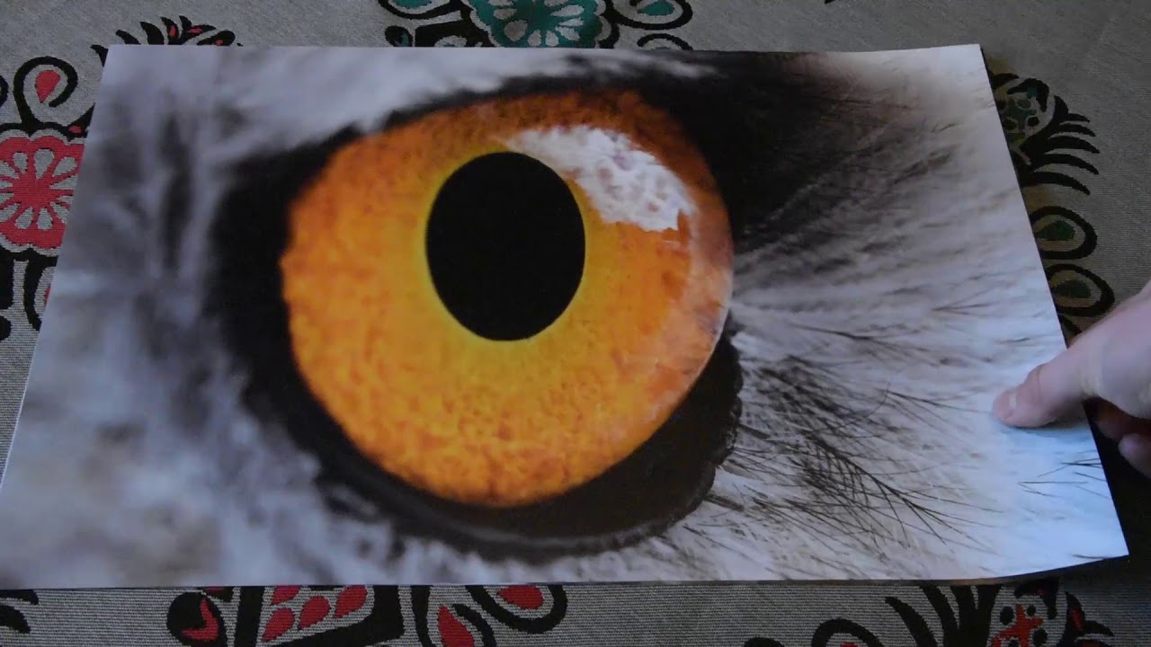 canon definicion PHOTOGRAPHY PRINTS MERCH !!!!!