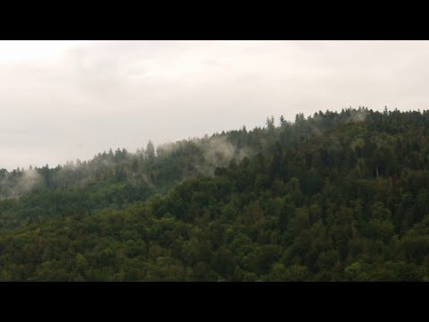 BAÏNE - Vosges (Clip officiel)