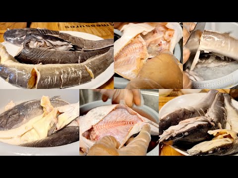 Vidéo: Comment dépecer et nettoyer le poisson-chat : 8 étapes