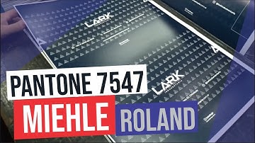 Pantone 7547 - IMPRESIÓN offset Roland Miehle - offset Press #offsetpress #imprenta #offset