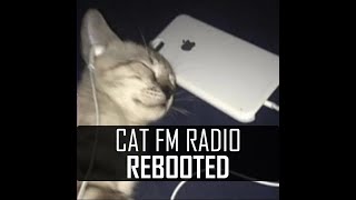 Cat FM Radio Rebooted | 70s, 80s, 90s Hits