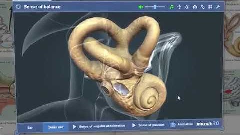 [TVC_SMART_EDU] Làm Quen Với mozaBook - Phần Mềm 3D Giúp Bạn Tạo Bài Giảng Sáng Tạo và Hấp Dẫn