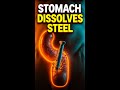 Your Stomach Acid Can Dissolve Steel #fitness #health #body #science #shorts