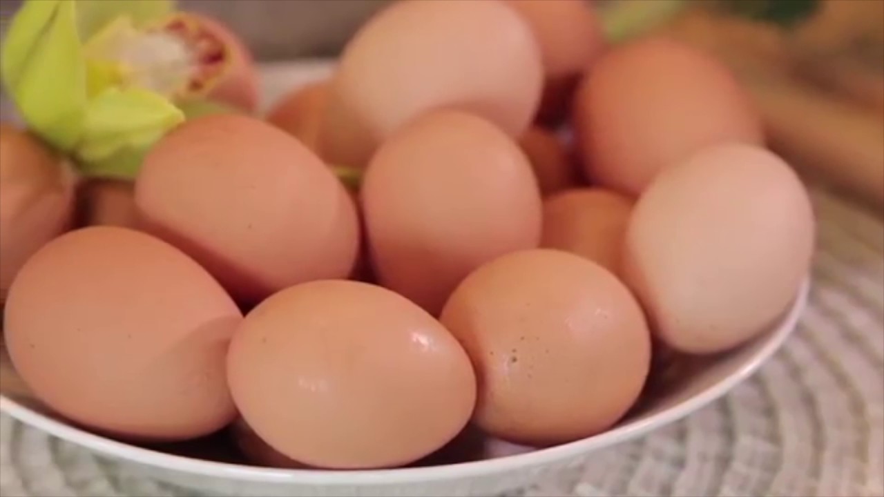 camera iphone 8 plus apk Wakaya Perfection's BulaFit system explained