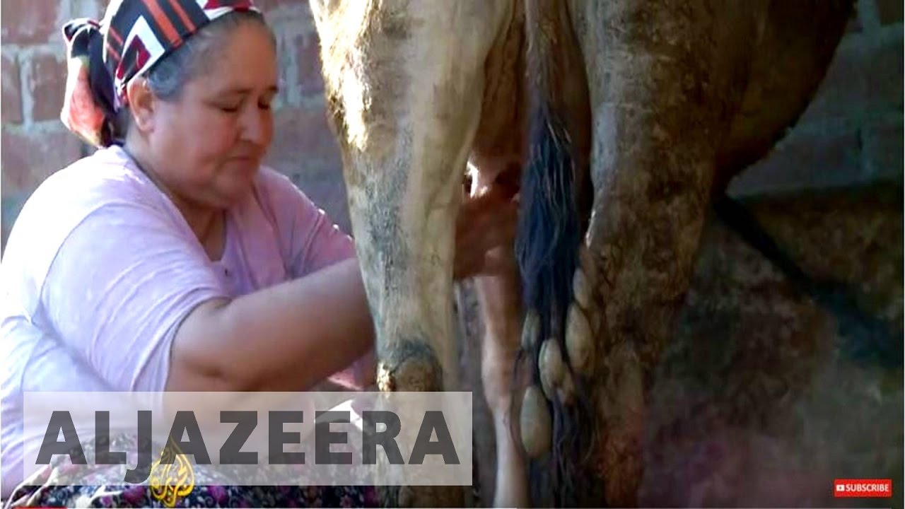 The Last Villagers of Avsar