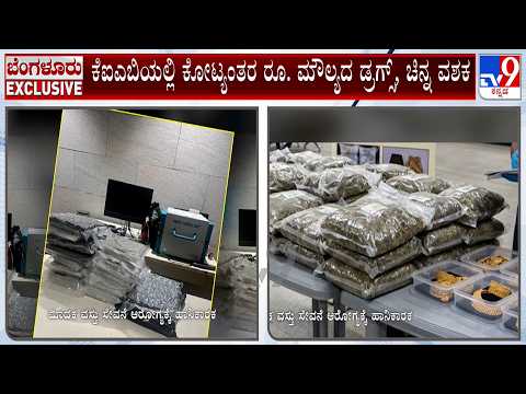 Bengaluru Airport Drug & Gold Bust: ₹28 Crore Hydro Cannabis, ₹1.75 Crore Gold Seized