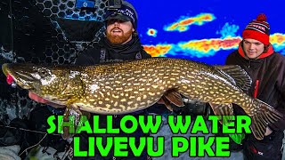 Shallow Water Pike on Live Imaging!