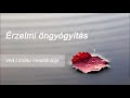 Érzelmi öngyógyítás- Veit Lindau