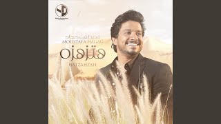 نصيبي وقسمتي - مصطفى حجاج