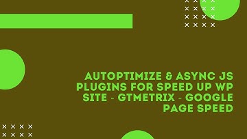 autoptimize & async js plugins for speed up wp site - Gtmetrix - google page speed(CMBD-67)