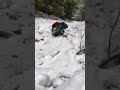 Snow wheeling is the best #crawlers #automobile #rccars #offroad #remotecontrolcars #rcdriver
