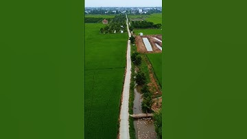 🌾 4,747m đất lúa, ô tô tới đất #ivantung #bandatlua #xuhuong #thinhhanh