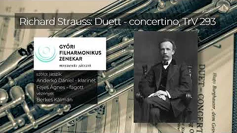 Richard Strauss: Duet Concertino