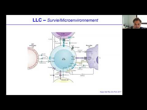 Vidéo: Traitement De Deuxième Intention De La Leucémie Lymphoïde Chronique