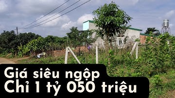 #121 Giá siêu ngộp chỉ 1 tỷ 050 triệu cho lô đất thổ cư này. Phù hợp với tất cả các nhà đầu tư.