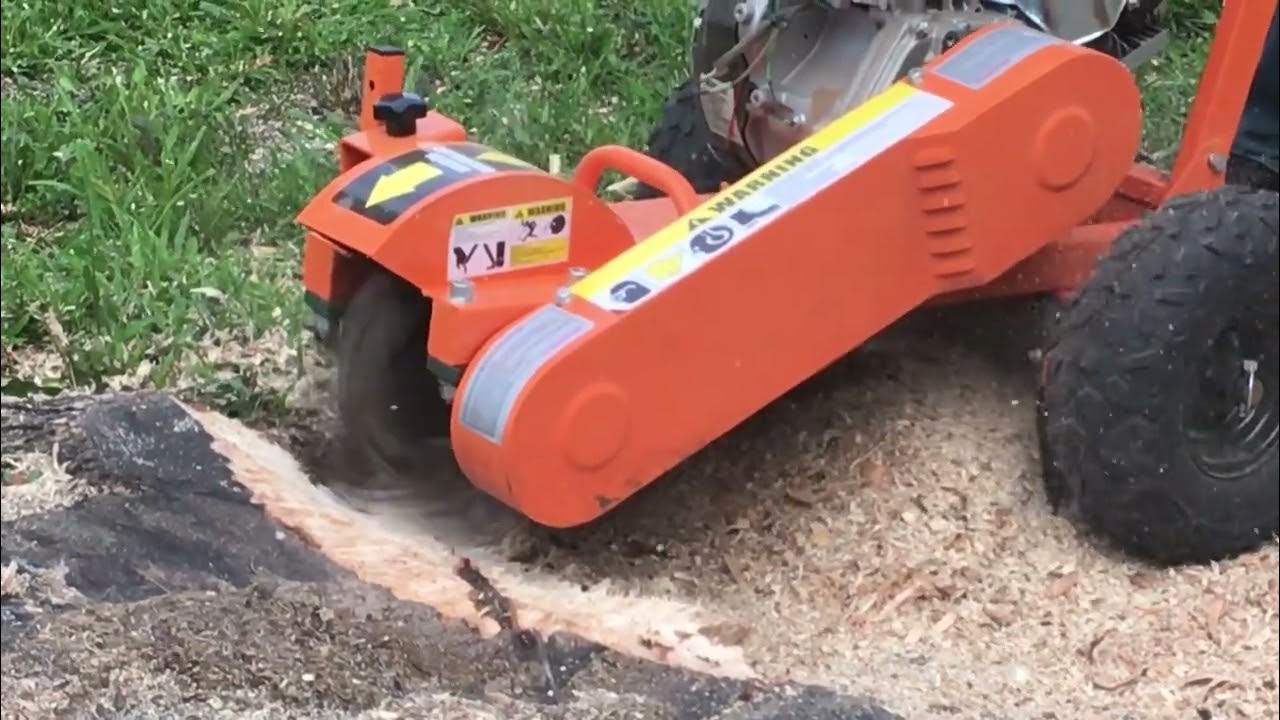 DK stump grinder In Action YouTube