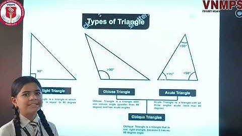 🔺 "Shapes with Three Sides: Types of Triangles"