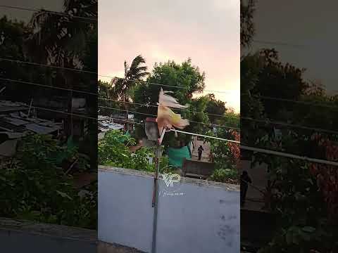 తొలకరి వర్షాలు కురిసే వేళ / మట్టి వాసన/పనుల జాతర/ప్రజలానంద హెలా