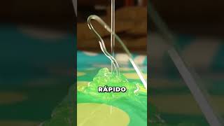 Champú vs Gravedad #physics #shorts