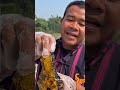 Most Amazing Honey 😳#shorts #viral