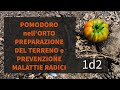 Pomodoro nell' Orto Preparazione del Terreno e Prevenzione malattie radici 1d2