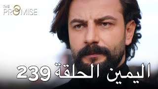 The Promise Episode 239 (Arabic Subtitle) | اليمين الحلقة 239