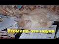 Утомила эта наука!